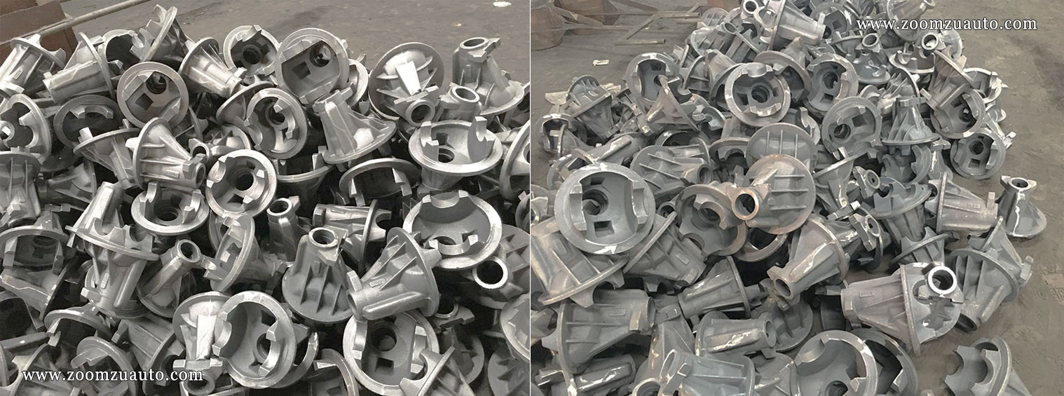 Rear axle reducer differential casting